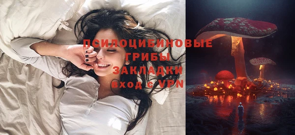 спиды Алзамай