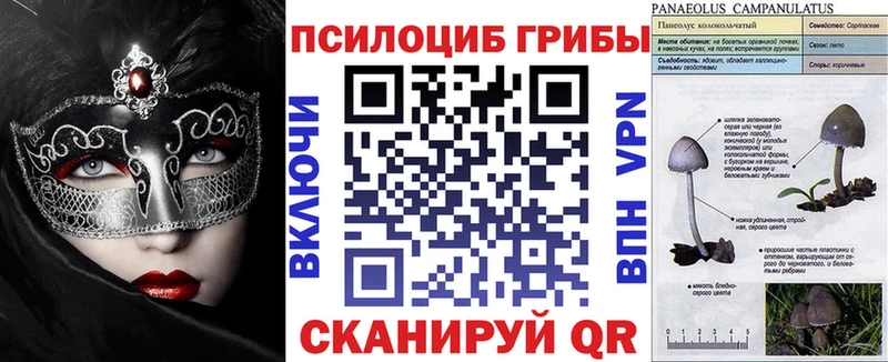 Псилоцибиновые грибы мухоморы  OMG онион  Бокситогорск 