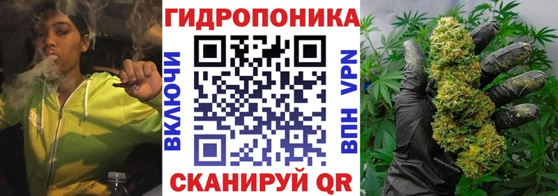 как найти закладки  Бокситогорск  Конопля план 